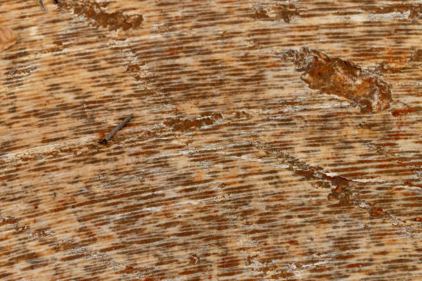 Circular Saw Blade marks on marble, Rustic marble texture, natural Matt marble, texture abstract background