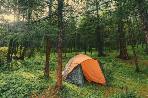 istock wild camping in the mountain forest. Trekking trip in summer 2178739773