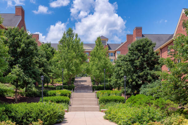 istock Green trees in the campus of Pennsylvania State University 2178741285
