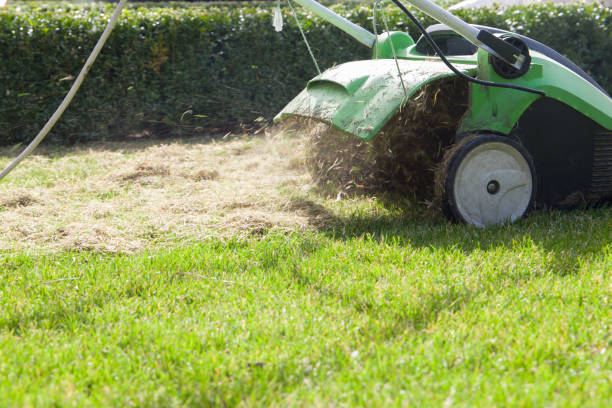 istock Scarifying machine. Scarification of the lawn. 2178742297