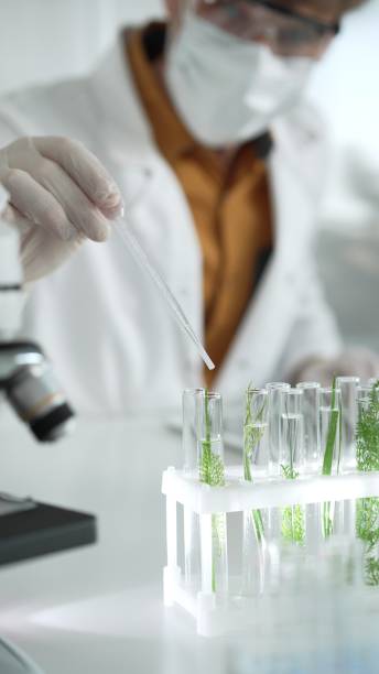 istock Man scientist wearing a lab coat, white protective gloves and face mask is dripping liquid into test tubes containing herbs for analysis in a laboratory, close up. Science and medicine concepts 2178745893
