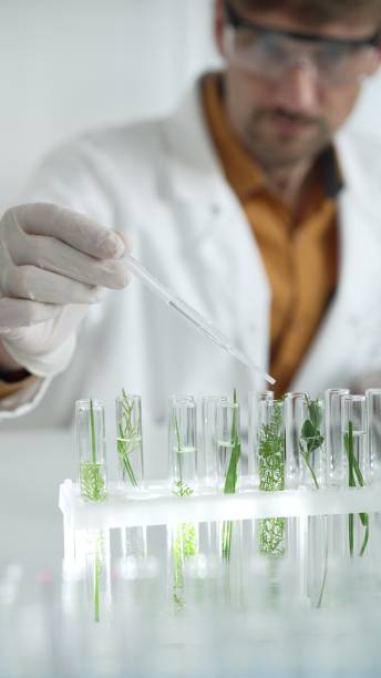 istock Man scientist wearing a lab coat, white gloves and protective glasses, is dripping liquid from a pipette into a test tube with a green plant inside, vertical portrait. Science and medicine concepts 2178746547