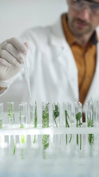 istock Man scientist wearing a lab coat, white gloves and protective glasses, is dripping liquid from a pipette into a test tube with a green plant inside, vertical close up view. Science and medicine 2178747775
