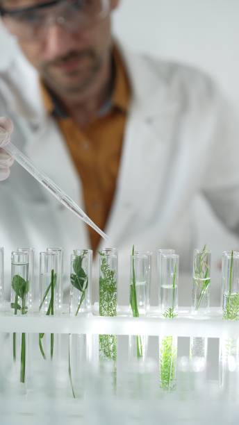 istock Man scientist wearing a lab coat, white gloves and protective glasses, is dripping liquid from a pipette into a test tube with a green plant inside, vertical close up view. Science and medicine 2178749264