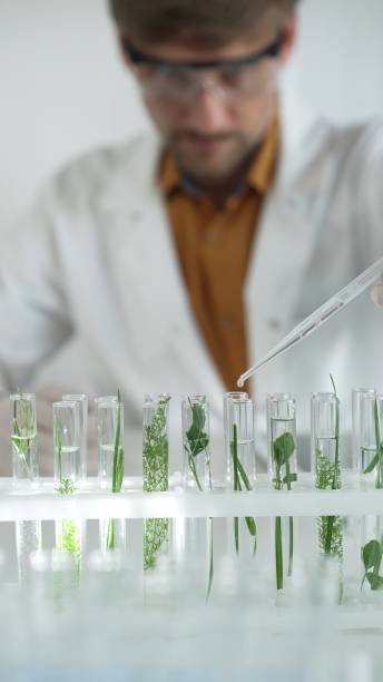 istock Man scientist wearing a lab coat, white gloves and protective glasses, is dripping liquid from a pipette into a test tube with a green plant inside, vertical portrait. Science and medicine concepts 2178749377