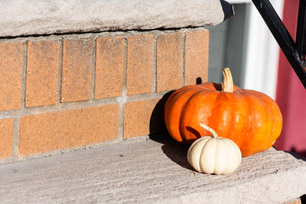 Autumn Pumpkins Decorate Front Stoop in Brooklyn New York