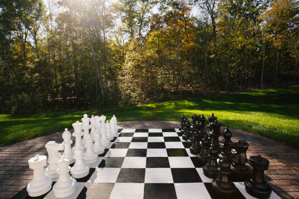 istock Large Outdoor Chess Board With Giant Pieces On Grass 2178753466
