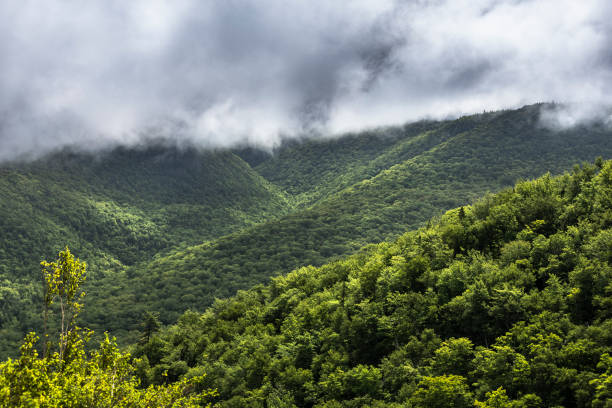 istock Cabot Trail Nova Scotia scenic drive hills and road 2178754763