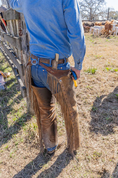 istock Cowboy wearing leather chaps and blue jeans. 2178757844