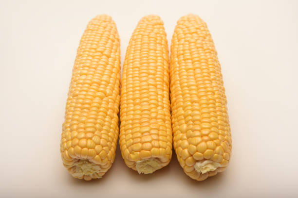 Three peeled ears of corn on a white background. A printed cob. Ripe delicious corn.