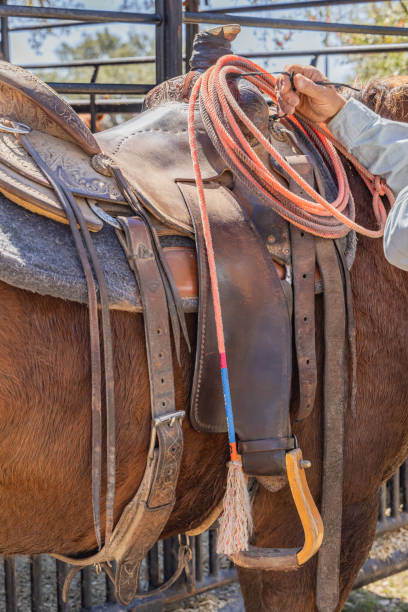istock Horse with a saddle and lariat, or lasso, on a cattle ranch. 2178759094