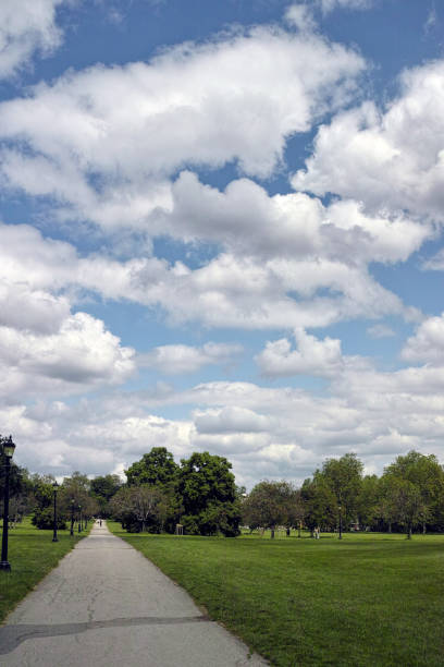 A group of trees with blue sky and clouds. Sky. Outdoor. Tree. Field. Cloudy