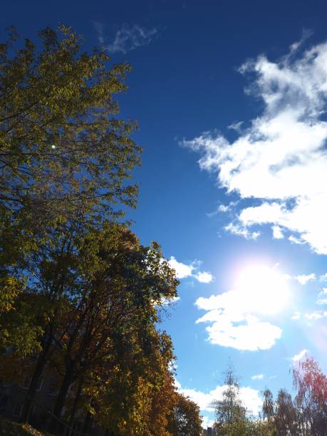 istock beautiful autumn in Vilnius 2178769590