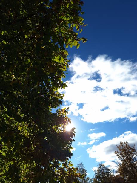 istock beautiful autumn in Vilnius 2178769593