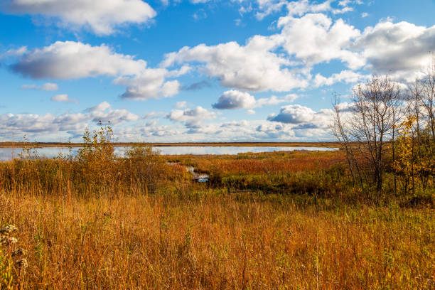 The morning steam rises from Mud Creek at Collins Marsh near Manitowoc, Wisconsin.