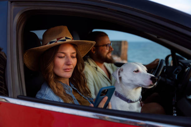 istock Family road trip 2178772801