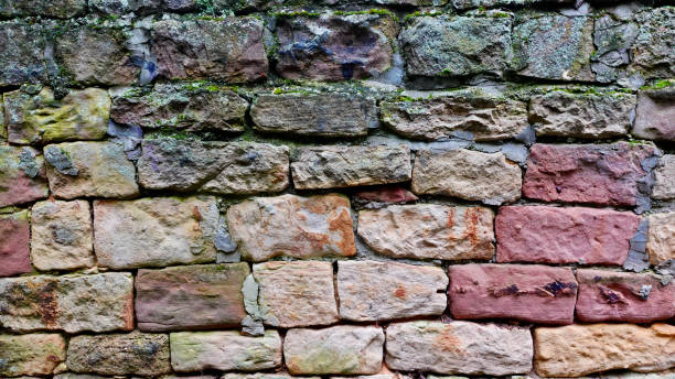 The wall features an intricate arrangement of bricks in various earthy tones, including shades of brown, beige, and red. Some bricks show signs of weathering and age, while patches of green moss add a touch of vibrancy. This structure is nestled in a natural environment, surrounded by elements that suggest a blend of nature and man-made craftsmanship. The play of light highlights the textures and colors, creating a captivating visual effect that emphasizes the history and character of the wall.