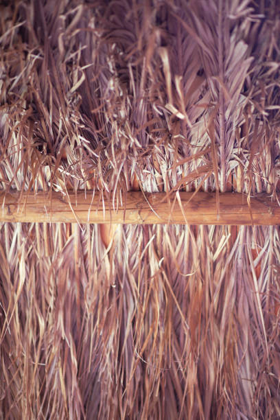 istock Palm tree leaves branch pattern wooden roof texture background 2178774040