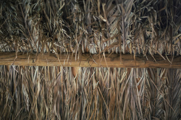 istock Palm tree leaves branch pattern wooden roof texture background 2178774117