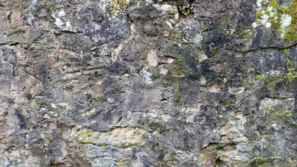 istock Textured Stone Wall With Moss and Lichen at a Historical Site in Nature 2178774256