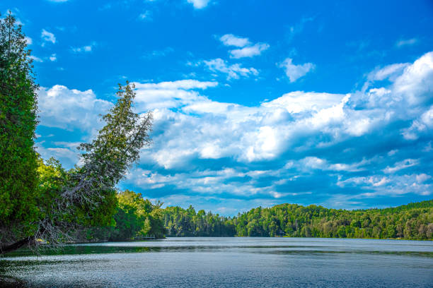 One of the lakes in northern Canada.