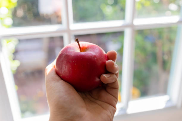 Woman's hand holding red apple in front of charming window