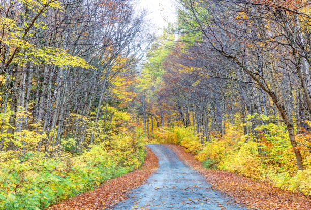 Autumn road near Big Moose Mountain in Greenville, Maine