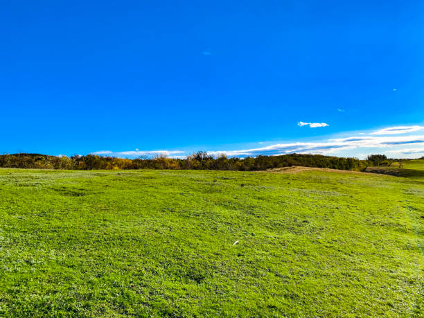 istock landscape with green grass and sky 2178780819