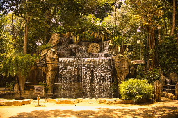 The waterfall flows gracefully over natural rocks in Taman Rimba Melaka, Malaysia, surrounded by vibrant greenery and lush plants, creating a peaceful atmosphere in the forest.