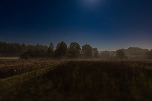 A serene night scene of a starry sky over misty fields and a dark forest. The moonlight illuminates the tranquil landscape, creating a peaceful atmosphere perfect for nature and night photography lovers.