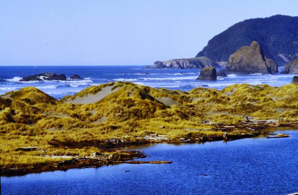 State Parks, Scenic Viewpoints, Recreation Areas and National Wildlife  Refuges, and State Beaches line the Southern Oregon Coast on the Pacific Ocean December 1982