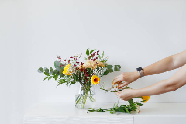 istock Florist Cutting Flower Stems While Preparing A Floral Arrangement  For Bouquet Design In A Vase On A White Table 2178794537