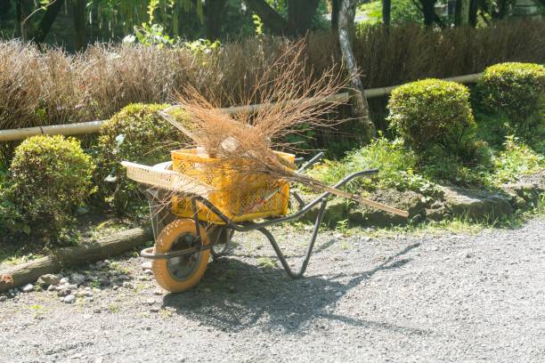 istock Cleaning equipment loaded onto a wheelbarrow 2178797293