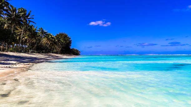 istock Tranquil beach, Cook Islands. Pristine white sand meets turquoise waters, swaying palm trees create an idyllic tropical escape. Perfect for a serene vacation. 2178797560