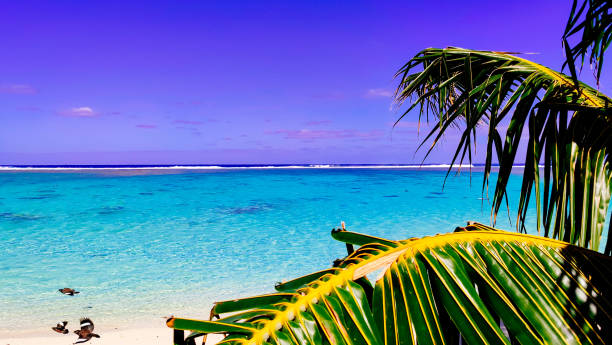 istock Palm-fringed beach, Cook Islands. Crystal-clear turquoise water, distant kayaker. Idyllic tropical paradise. Serene escape. 2178797588