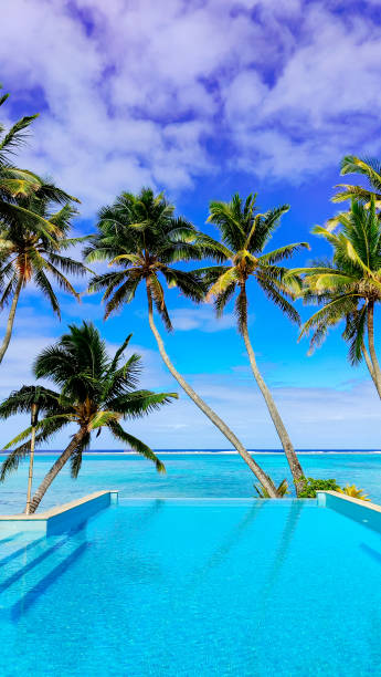 istock Tranquil lagoon view with palm trees framing infinity pool. Idyllic escape Cook Islands. Serene paradise. 2178797660