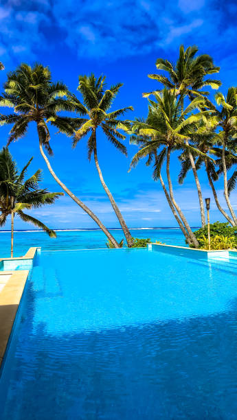 istock Lush tropical paradise with stunning infinity pool overlooking turquoise lagoon and swaying palm trees. Tranquil escape to world of serenity and natural beauty. Picturesque scene evokes feelings of 2178797675