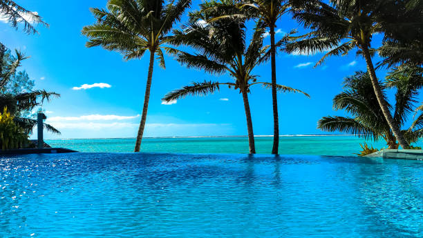 istock Tranquil lagoon stretches before infinity pool. Cook Islands. Crystal clear water, swaying palms. Idyllic escape. 2178797779
