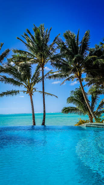 istock Tranquil lagoon stretches before infinity pool, Cook Islands. Palm trees sway beneath vibrant sky. Serene island paradise. 2178797789