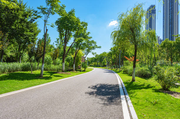 istock Curved asphalt road through the green city park 2178797891