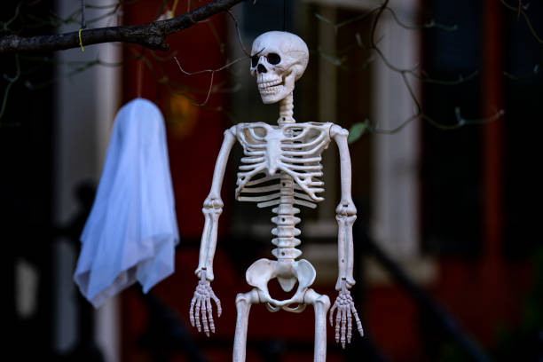 istock Halloween skeleton decorations. Halloween skeleton for decorated house. Scary skeleton Decorated at front yard of a American home. Trick or treat. Halloween skeleton background. 2178798614
