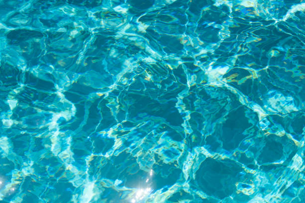 High angle view of palm trees reflecting in swimming pool