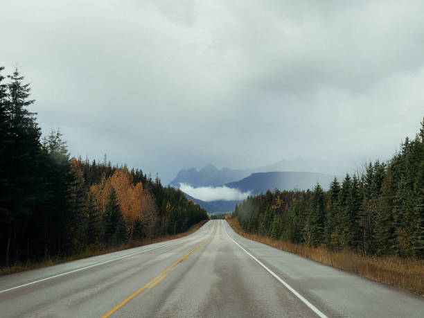 istock Road in Canadian Rockies, Alberta, Canada. 2178799415