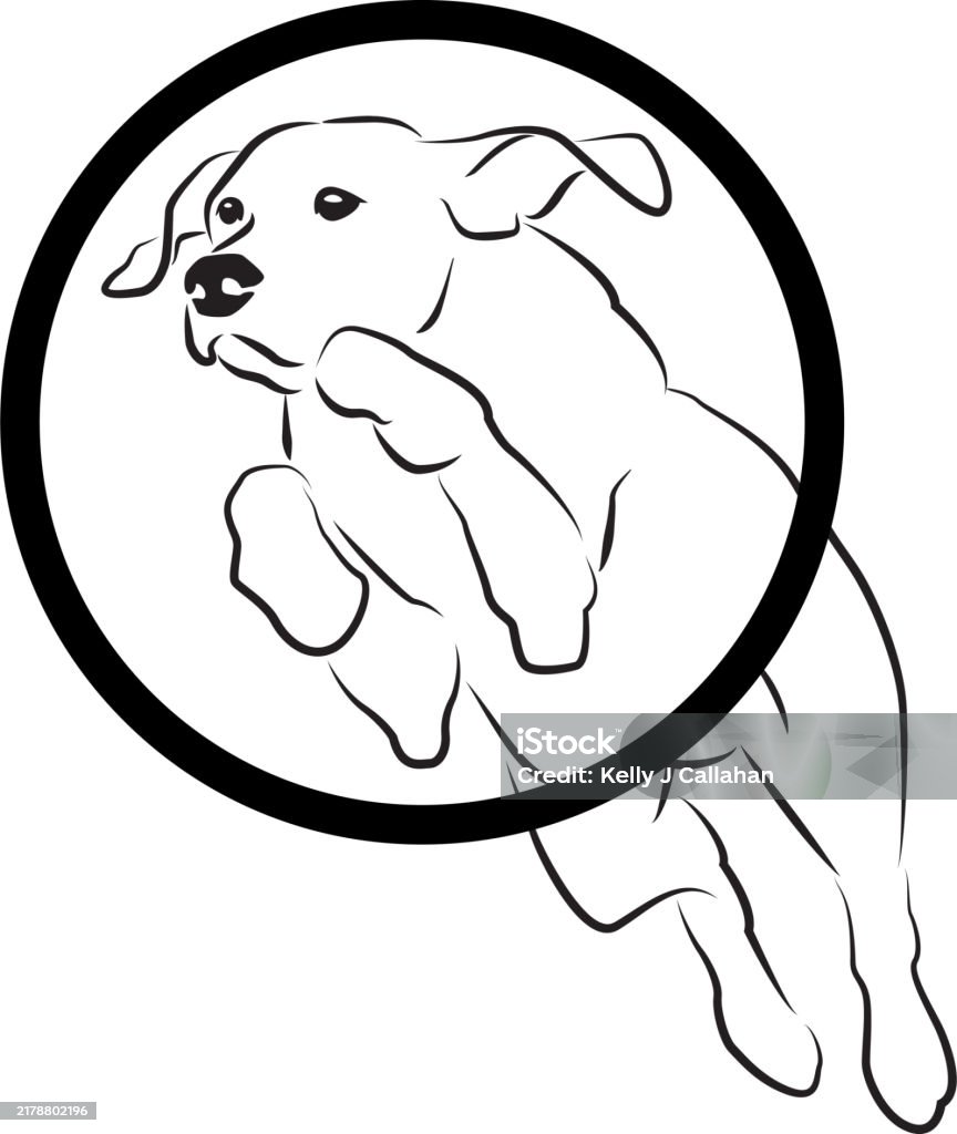 Rhodesian Ridgeback Agility Stock Illustration - Download Image Now ...