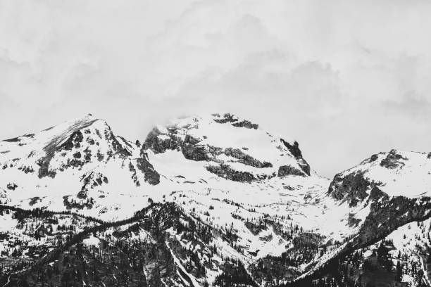 Winter landscape in Navarre (Spain)
