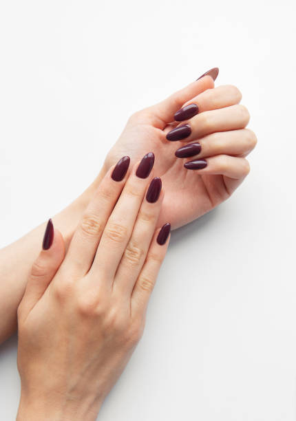 istock Elegant hands displaying deep burgundy manicure on a clean white background during a salon appointment 2178811027