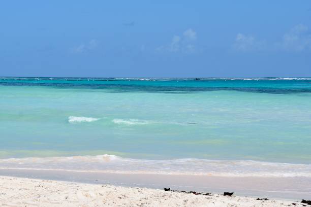 istock turquoise water in punta cana 2178811216