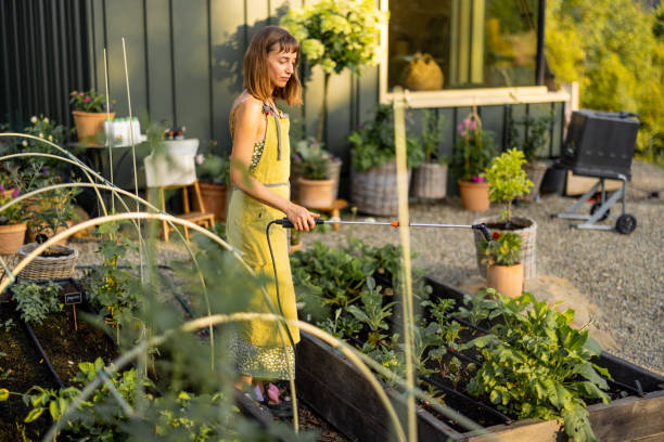 istock Organic Gardening in Raised Beds 2178811695