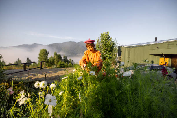 istock Morning Harvest with a View 2178812117