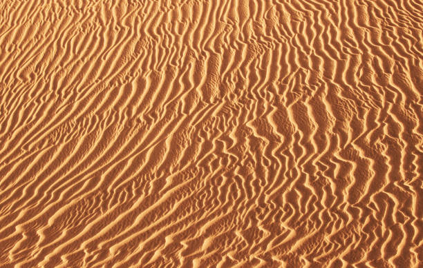 istock Dunes landscape, Maspalomas, Gran Canaria, Canary Islands, Spain. 2178815744